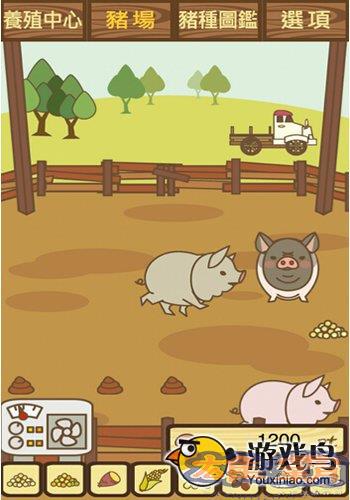 养猪场游戏评测  肥猪是怎么炼成的图片2