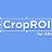 CropROI(AE自定义区域裁剪插件)