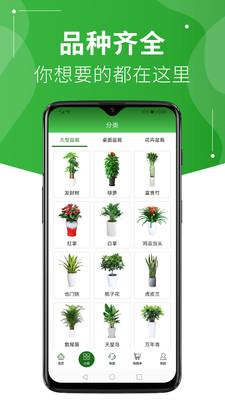 绿植到家